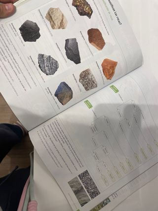 Libro Biología y Geología. 1 Secundaria. Revuela