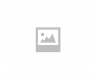 COMPRESOR AIRE ACONDICIONADO PEUGEOT PARTNER (S1)