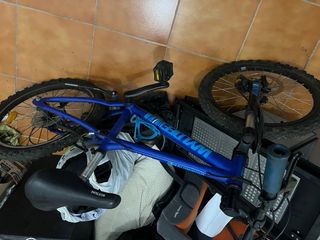 Bicicleta de montaña Wyldee para niños.