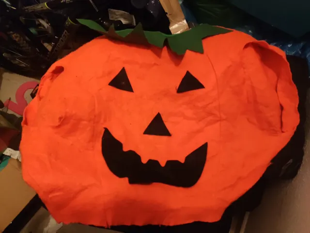 Disfraz Calabaza Halloween