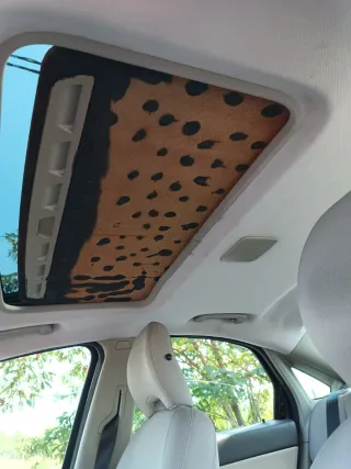 Volvo S40 T5 220cv manual