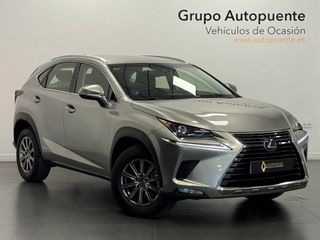 Lexus NX 300H Business