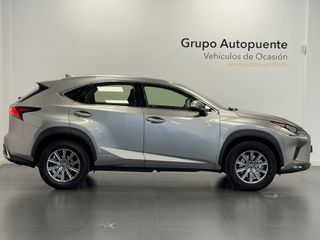 Lexus NX 300H Business