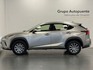 Lexus NX 300H Business