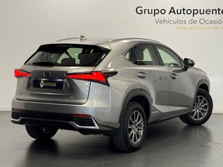 Lexus NX 300H Business