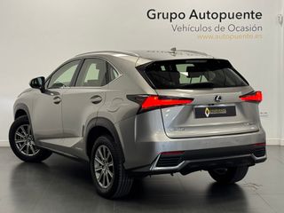 Lexus NX 300H Business