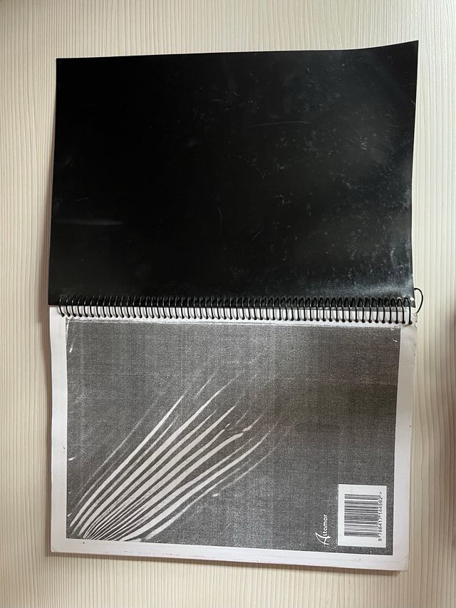 Organización de la atención a las personas en s...