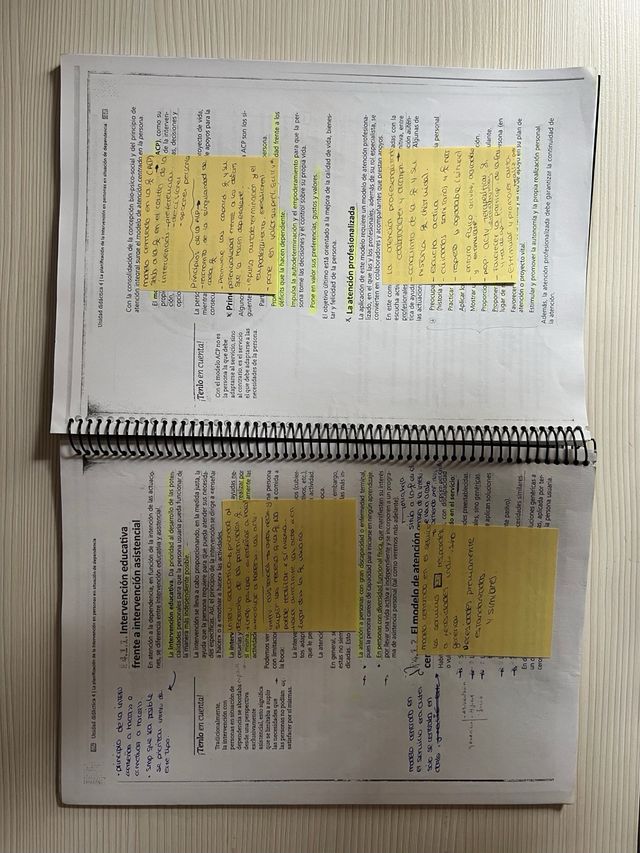 Organización de la atención a las personas en s...