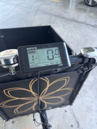 Bicicleta Christiania con cajón y motor