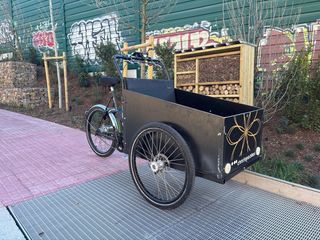 Bicicleta Christiania con cajón y motor