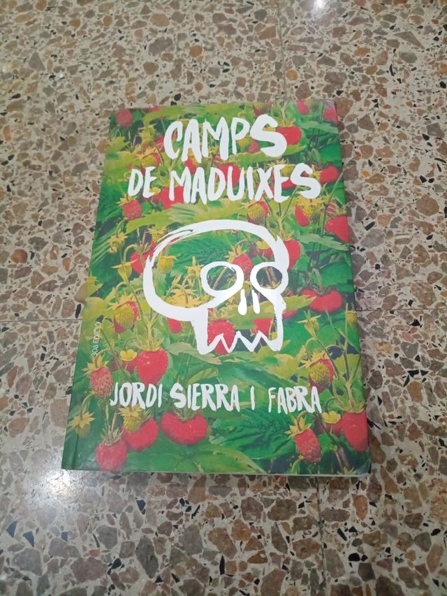 Camps de maduixes