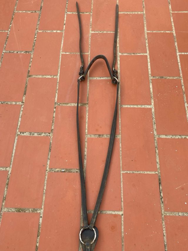 Petral para montura de caballo