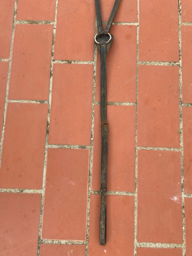 Petral para montura de caballo