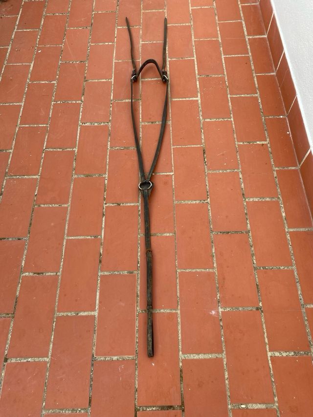 Petral para montura de caballo