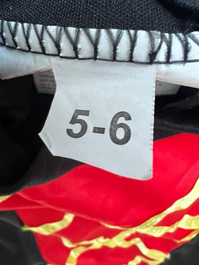 Disfraz Bruja con Sombrero