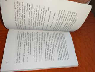 Libro Mi tigre es lluvia de Carlos Puerto