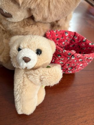 Peluche Orso Grande e Piccolo