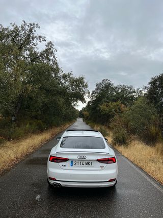 Audi A5 2018 quattro 218cv 3.0