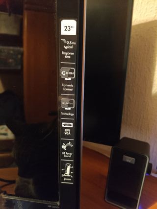 Pantalla HP de ordenador negra y plateada