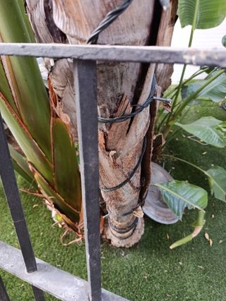 Ventana corredera aluminio con persianay rejas 
