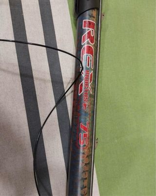 Omer Invictus Rex 75