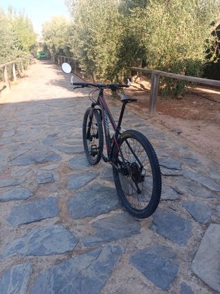 Ruote per mountain bike 29