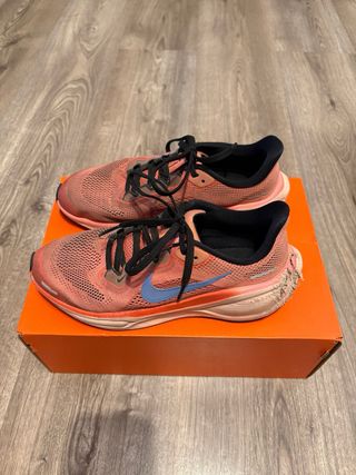 Zapatillas running Nike Air Zoom Pegasus 40