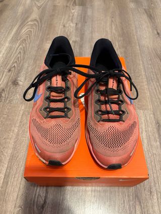 Zapatillas running Nike Air Zoom Pegasus 40