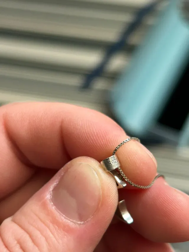 Collar con colgante delfín con circonita plata 925