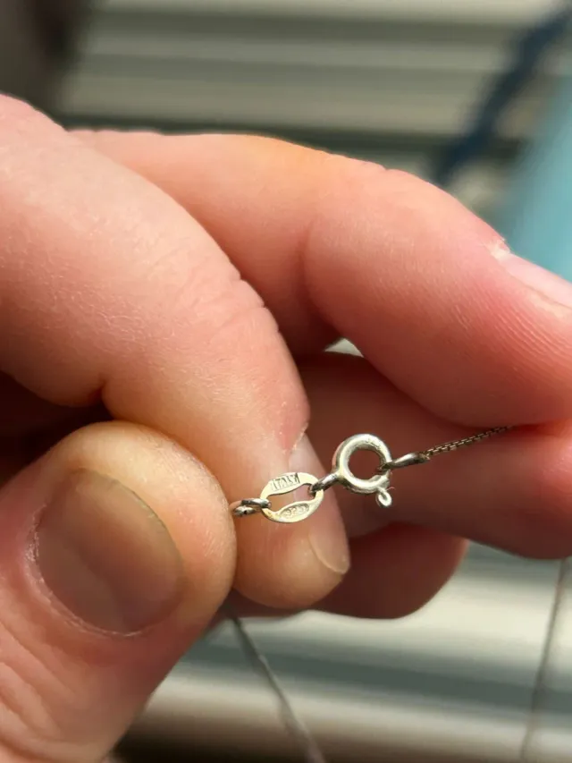 Collar con colgante delfín con circonita plata 925