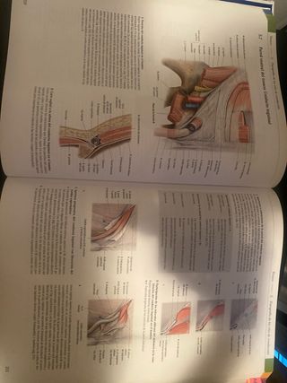 Texto y Atlas Anatomia-Aparato general y locomotor