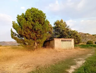 Parcelas de regadío con  casa y pinar junto al río