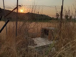 Parcelas de regadío con  casa y pinar junto al río