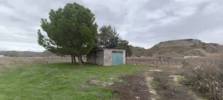 Parcelas de regadío con  casa y pinar junto al río