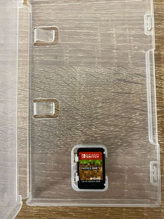 Minecraft Nintendo Switch