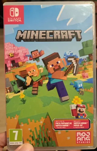 Minecraft Nintendo Switch