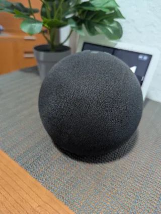 Echo 4ª Gen Grande - Altavoz Alexa - Gris