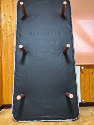 Cama tarima y colchón