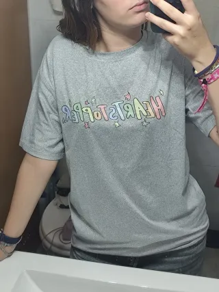 Camiseta Heartstopper gris multicolor