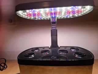 Aerogarden Harvest Elite Cultivo Hidropónico