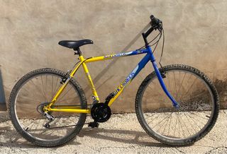 Bicicleta Montaña