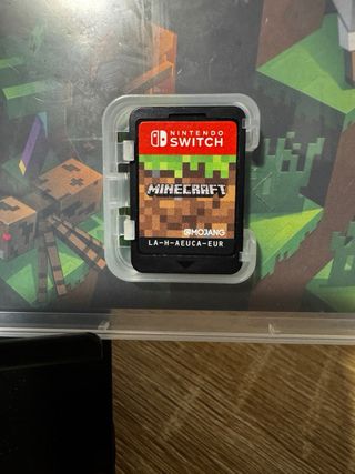 Minecraft Nintendo Switch 