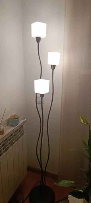 Lámparas de techo y de pie