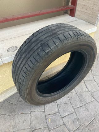 Neumáticos Bridgestone 225/55 R17 97W

