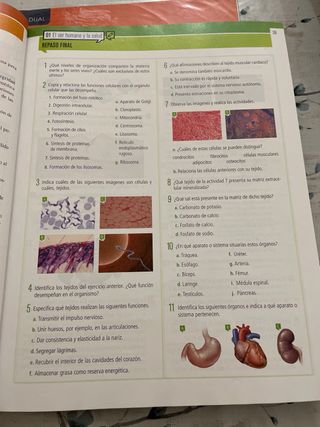 Biología y Geología 3º ESO