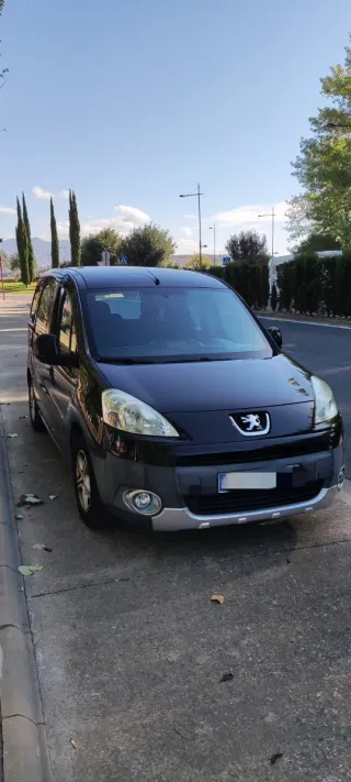 Peugeot Partner 2009