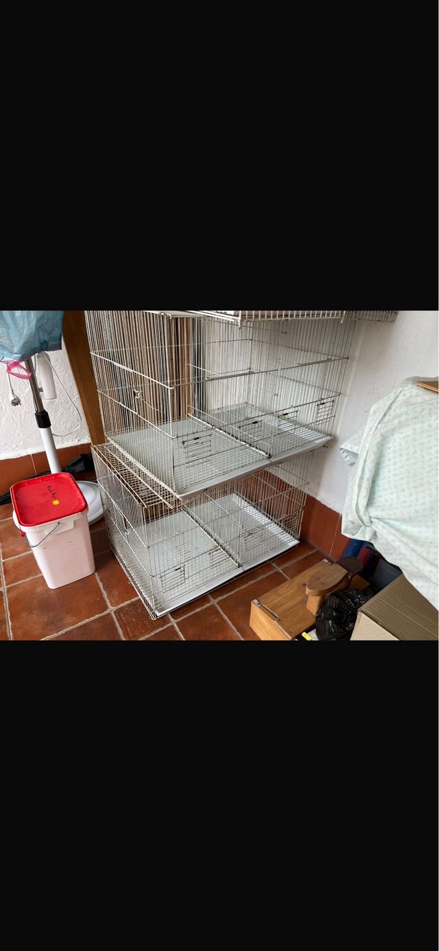 Jaulas para canarios de rejas blancas.