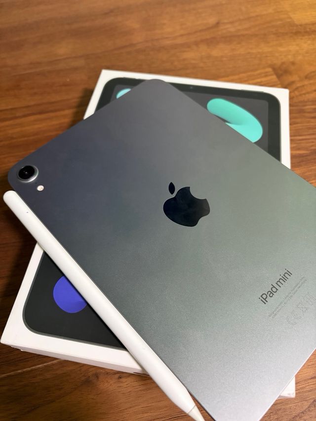 iPad Mini 7 + Apple Pencil Pro