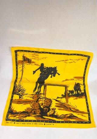 Nike SB Dunk Low Rodeo Tourmaline - 45 EU