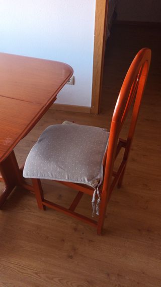 Mesa y 6sillas de salón